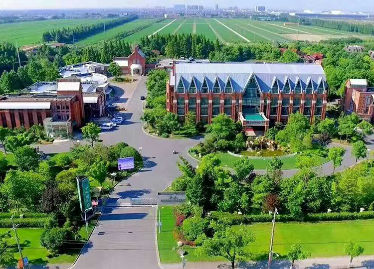 上海團(tuán)建基地-小木屋