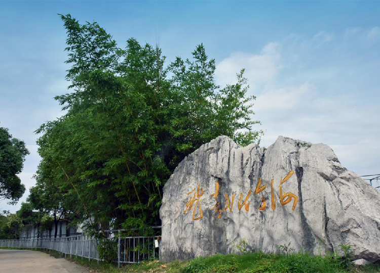 溧陽(yáng)拓展基地-飛越竹海