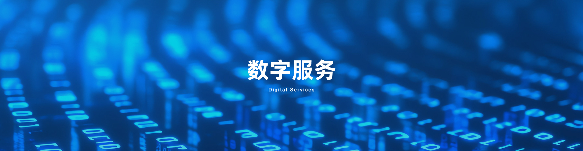 數(shù)字服務(wù)